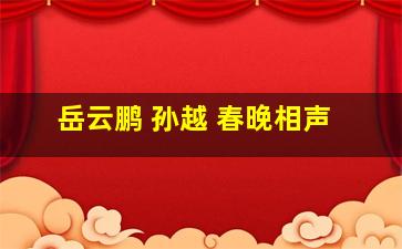 岳云鹏 孙越 春晚相声